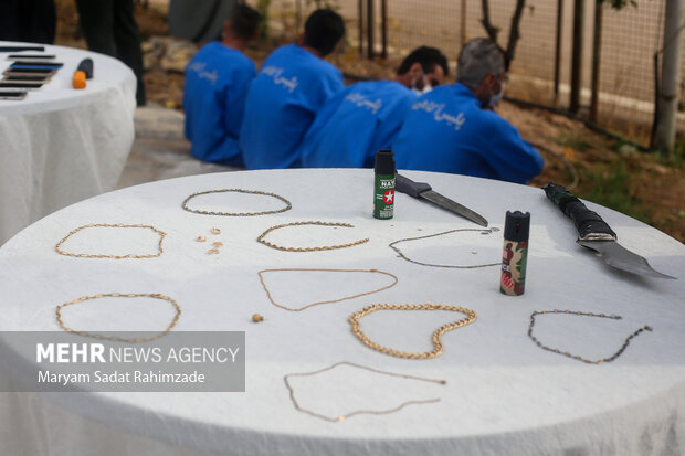 کشفیات پلیس استان فارس