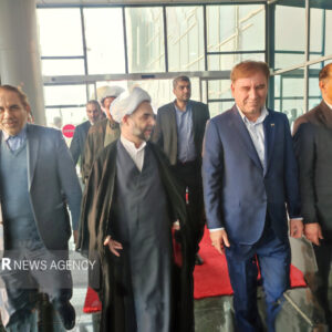 معاون اول قوه قضائیه وارد عسلویه شد