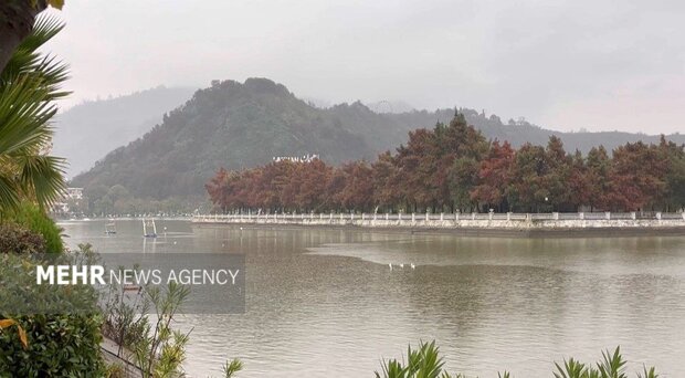 تصاویری زیبا از بارش باران پاییزی در لاهیجان