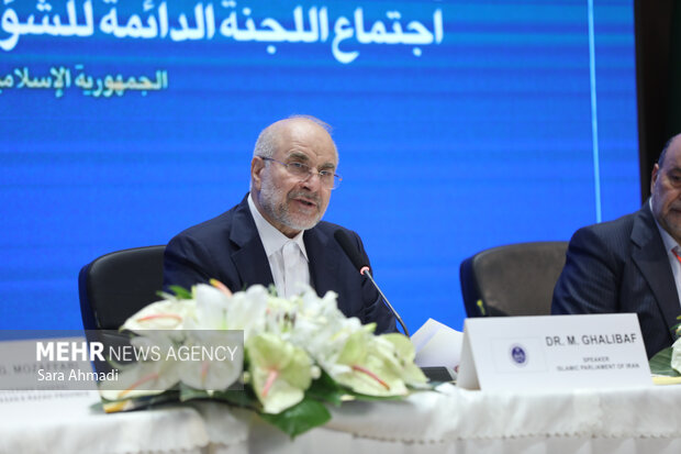 نشست کمیته دائمی امور سیاسی مجمع‌المجالس آسیایی در مشهد