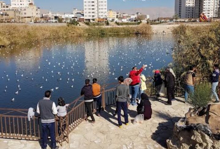 آبگیر پارک فروزان شیراز از خطر سگ ولگرد و موش پاکسازی شد