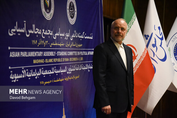 نشست کمیته دایمی امور سیاسی مجمع مجالس اسیا