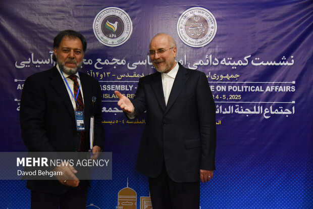 نشست کمیته دایمی امور سیاسی مجمع مجالس اسیا