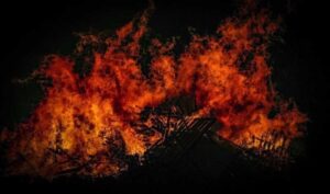 آتش سوزی در باغ‌های مرکبات نراب جیرفت؛ اعزام نیروهای امدادی به منطقه