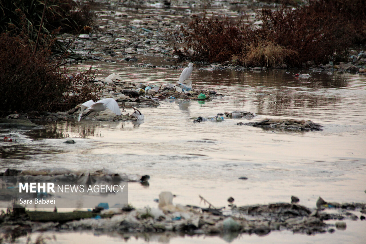 وقتی هیچکس متولی نیست؛ بلاتکلیفی مدیریتی قرهسو تا مرز بحران سلامت