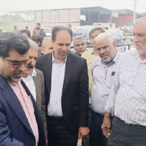 محسنی: کیفیت پایین بسته بندی محصولات کشاورزی موجب افت قیمت می‌شود