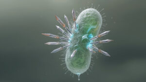 چارچوب‌های آلی فلزی با «خنجرهای مولکولی» باکتری‌ها را سوراخ می‌کنند