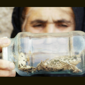 همزیستی ۴ ساله با لک‌لک‌ها؛ چطور فیلم مستند را برای مخاطب جذاب کنیم؟