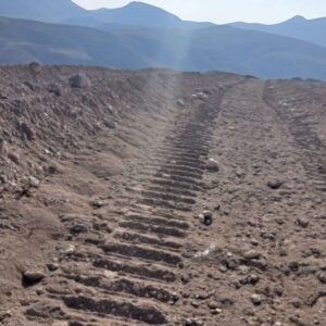 سرمایه‌گذار شترمرغ از دستور استاندار خراسان شمالی سرپیچی کرد