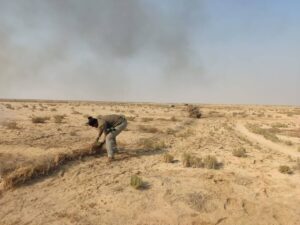 مرادزاده: یکی از دشت‌های مهم زنده‌گیری «هوبره» پاکسازی شد