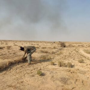 مرادزاده: یکی از دشت‌های مهم زنده‌گیری «هوبره» پاکسازی شد