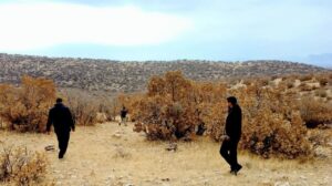 تخریب ۱۱ کوره زغال و کشف سه تن چوب بلوط در فیروزآباد