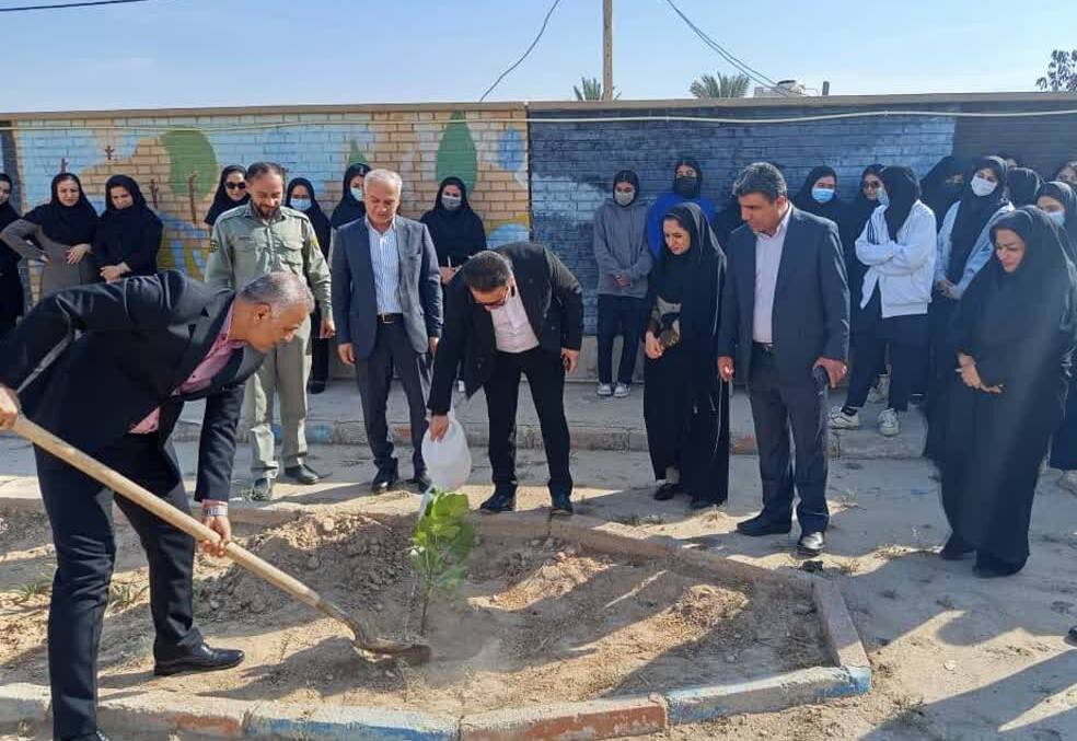 مراسم کاشت نهال در بندرریگ برگزار شد