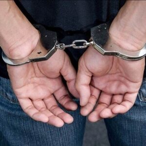 دستگیری اراذل و اوباش سابقه دار با اقتدار پلیس اردبیل