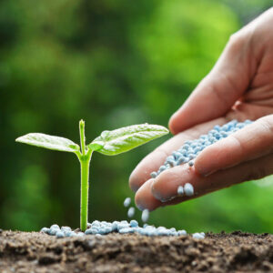 قلی پور: اجرای طرح توسعه کشاورزی حفاظتی در مرکزی هدفگذاری شد