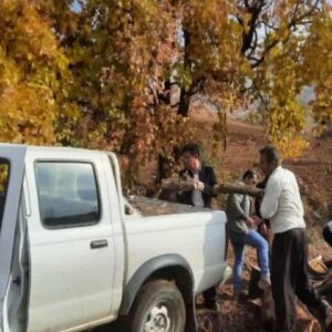کشف و ضبط ۳۰۰ کیلوگرم چوب بلوط قاچاق در روستای آلمانه