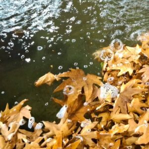 طبیعت پاییزی منطقه گردشگری سرچشمه شهرستان محلات