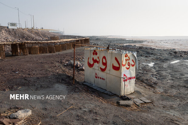 آخرین وضعیت دریاچه ارومیه