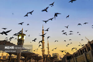 مسجد النبی(ص) در آستانه ولادت حضرت زهرا (س)