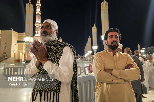 مسجد النبی(ص) در آستانه ولادت حضرت زهرا (س)