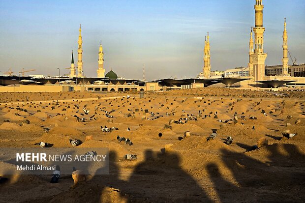 مسجد النبی(ص) در آستانه ولادت حضرت زهرا (س)