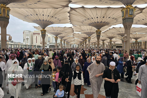 مسجد النبی(ص) در آستانه ولادت حضرت زهرا (س)