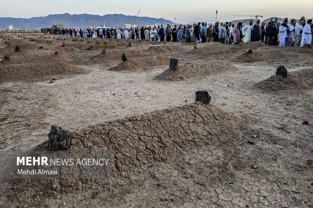 مسجد النبی(ص) در آستانه ولادت حضرت زهرا (س)