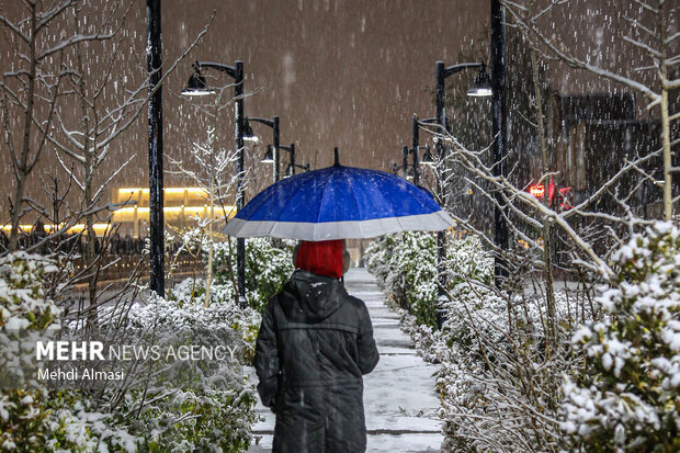 بارش برف در زنجان