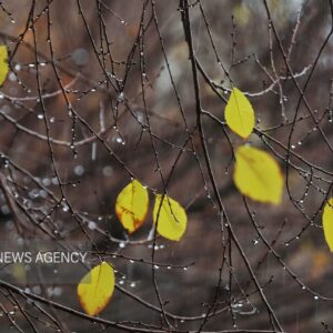 ۴۴ میلی‌متر باران در لرستان بارید/ ثبت بارش ۹۶ میلی‌متری در رومشکان