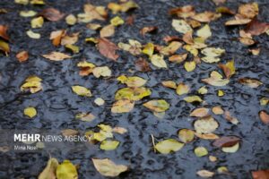 جزئیات بارش‌های لرستان؛ بیشترین بارندگی‌ها در معمولان و رومشکان ثبت شد