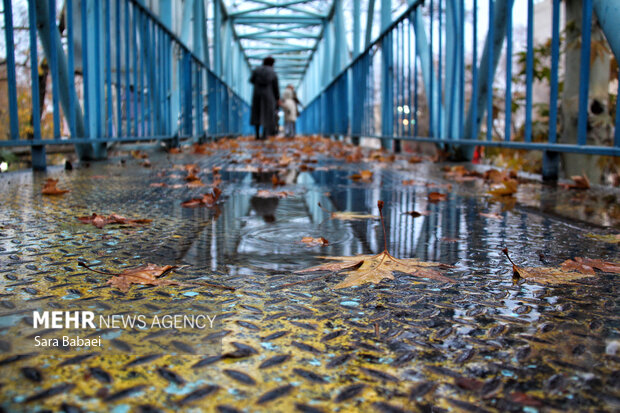 باران در کرمانشاه؛ از خیابان‌های خیس تا آسمان ابری شهر