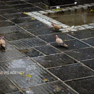 بارش‌ها در فریدن نسبت به سال گذشته کاهش داشته است