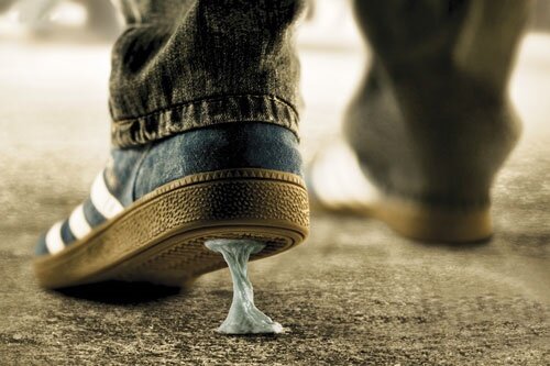 آدامس‌هایی که محیط زیست  را مسموم می‌کنند؛ ضرورت فرهنگ سازی