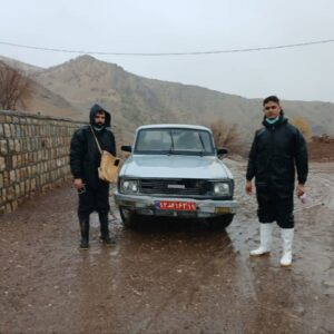 واکسیناسیون دام‌ها در هرسین برای مقابله با تب برفکی