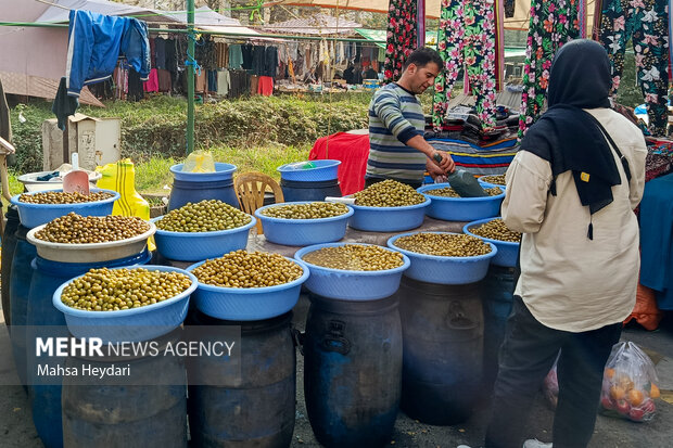 گیلان در یک نگاه