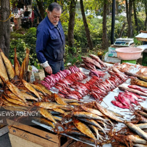 گیلان در یک نگاه