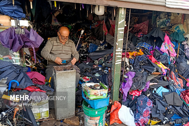 گیلان در یک نگاه