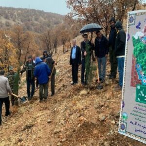 کهگیلویه و بویراحمدی ها زیر باران  به نام مادر نهال کاشتند