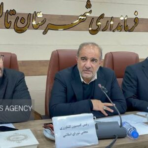 عسکری: کیوی فرصت طلایی ایران برای صادرات به روسیه و قفقاز است