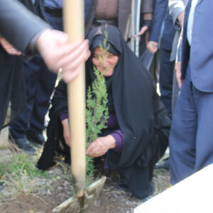 باقری: ۴.۶ میلیون اصله نهال در مازندران تولید شد
