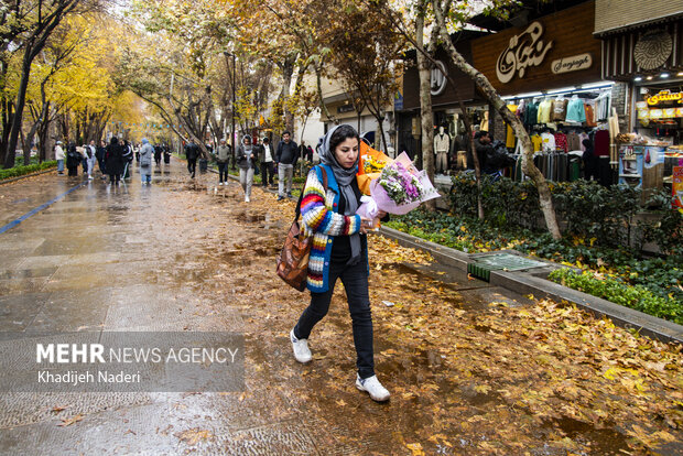 باران پاییزی در چهارباغ اصفهان