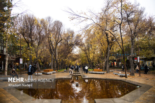 باران پاییزی در چهارباغ اصفهان