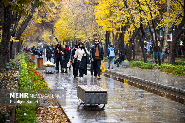 باران پاییزی در چهارباغ اصفهان