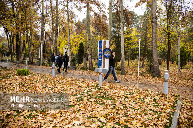 باران پاییزی در چهارباغ اصفهان