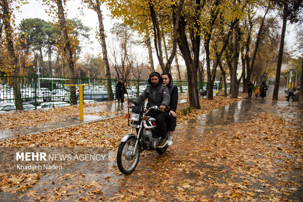 باران پاییزی در چهارباغ اصفهان