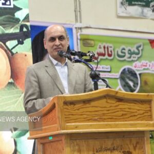 حق شناس: ۲۰۰ هزار تن کیوی در گیلان برداشت می‌شود