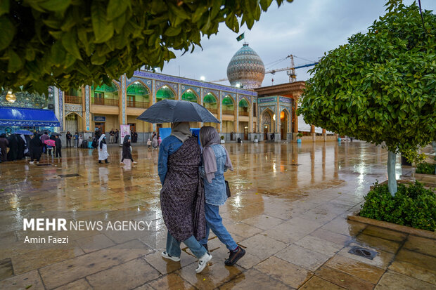 طراوت باران در حرم شاهچراغ(ع)