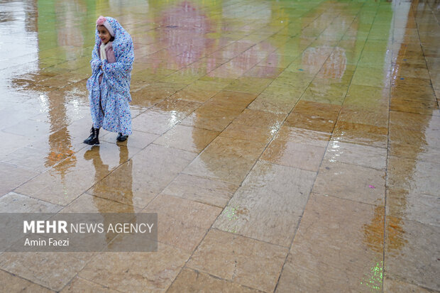 طراوت باران در حرم شاهچراغ(ع)