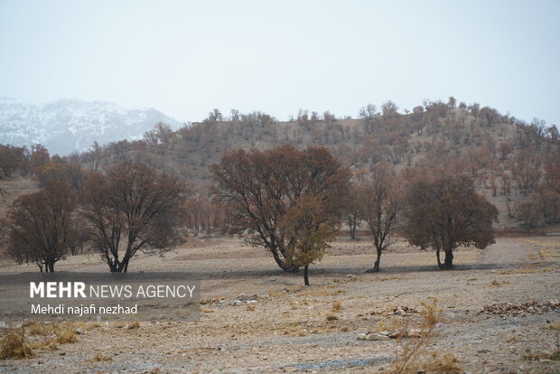 هوای زیبای بارانی شهر یاسوج