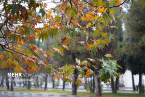 حکمی: هفته پربارشی برای خراسان رضوی پیش بینی شده است